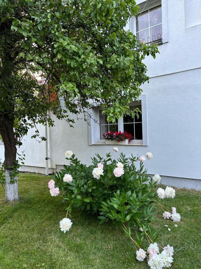 Apartamenty Stokrotka Lądek-Zdrój Buitenkant foto