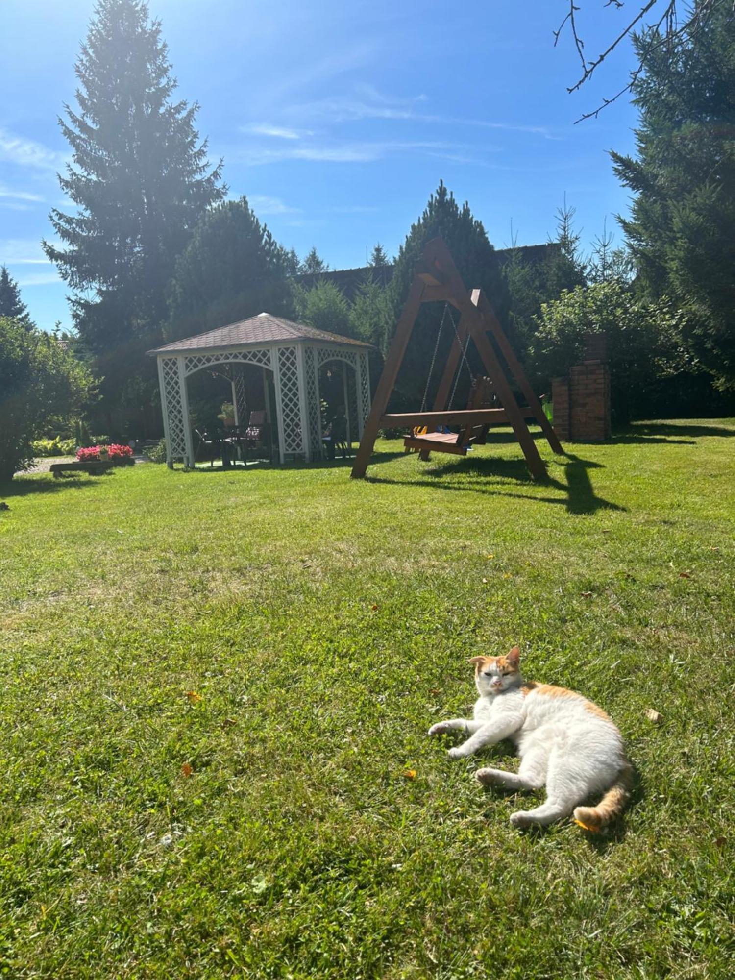 Apartamenty Stokrotka Lądek-Zdrój Buitenkant foto