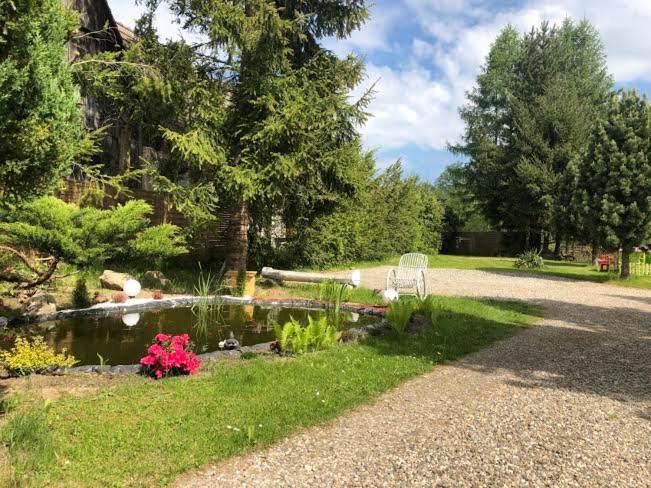 Apartamenty Stokrotka Lądek-Zdrój Buitenkant foto